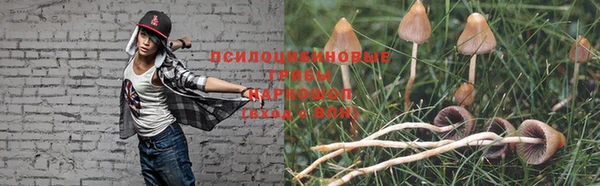 гидропоника Володарск