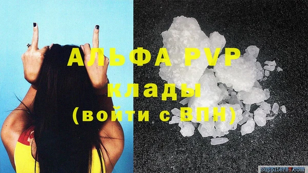 СК Верея