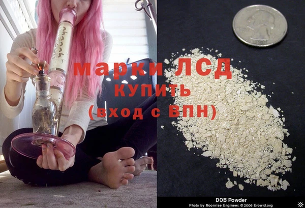 гидропоника Володарск