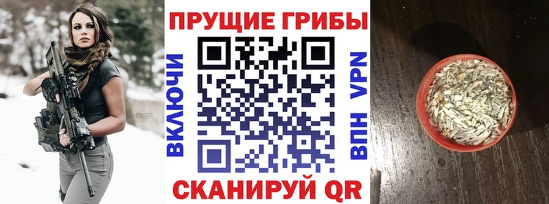 Псилоцибиновые грибы мицелий Владимир