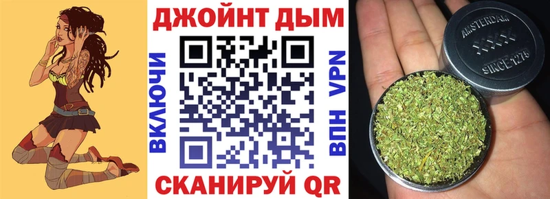 Каннабис индика  Владимир 